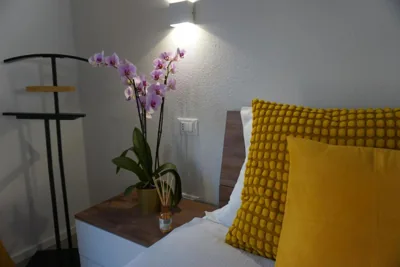 Elisa Apartments B - in front of the walls of Lucca – Photos 13